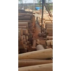 Selling Borneo Wood Material 1