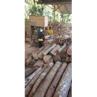 Selling Meranti Wood