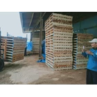 wooden pallet Sidoarjo ekspor 4